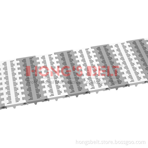 The Food Grade Straight Modular Belt (HS-100B-HD)